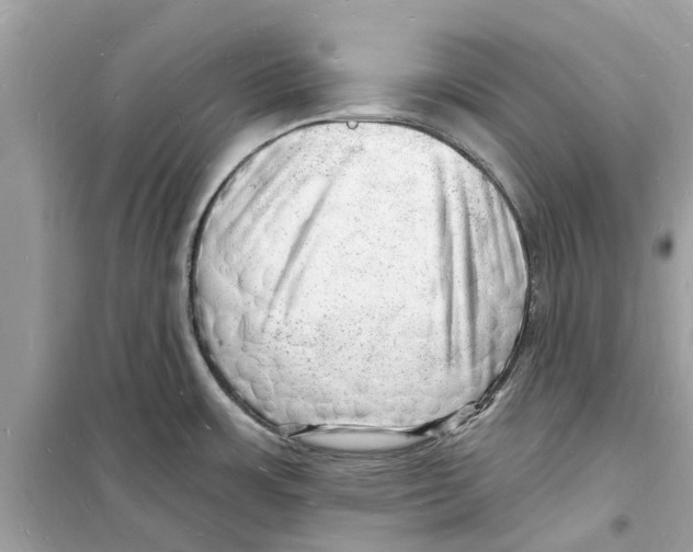 X0000098231483200805221700