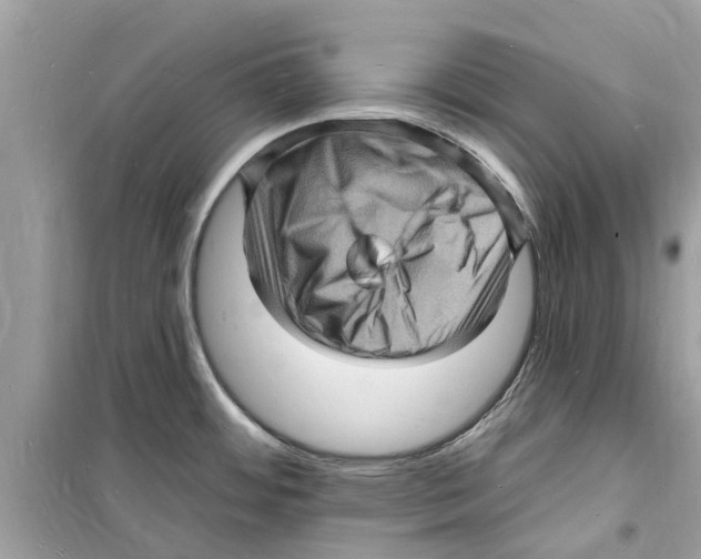 X0000098231484200805221700