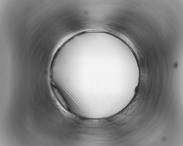 X0000098231485200805221700