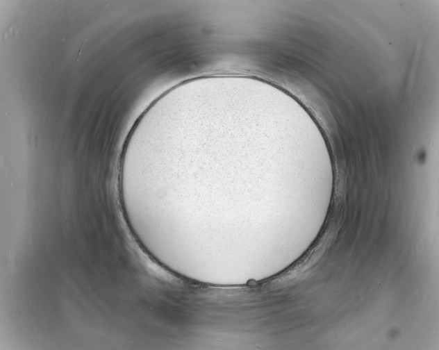 X0000098231486200805221700