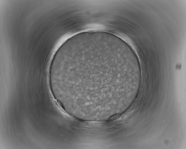 X0000098231488200805221700