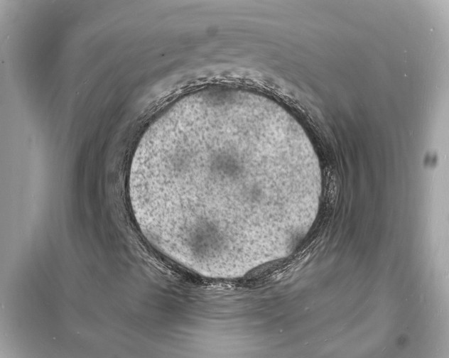 X0000098231489200805221659