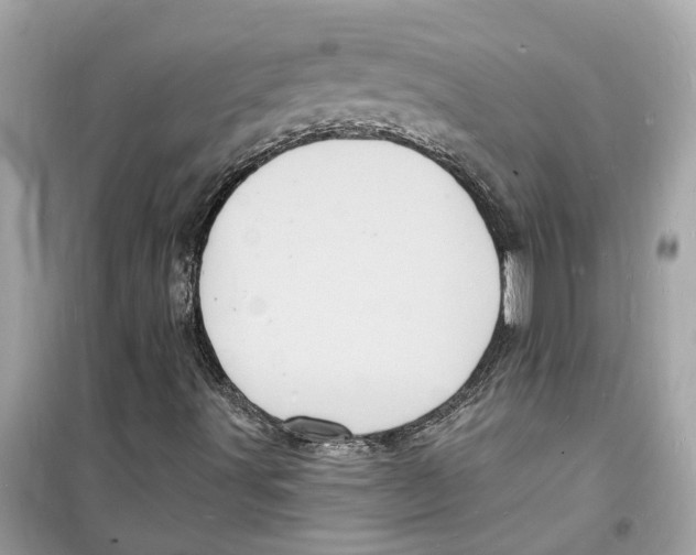 X0000098231491200805221659