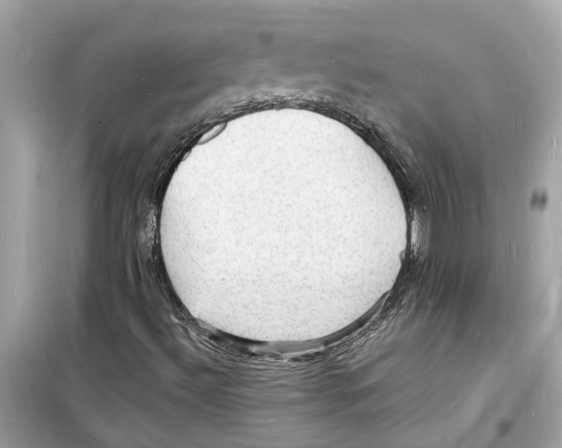 X0000098231492200805221659