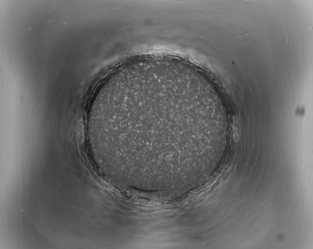 X0000098231493200805221659