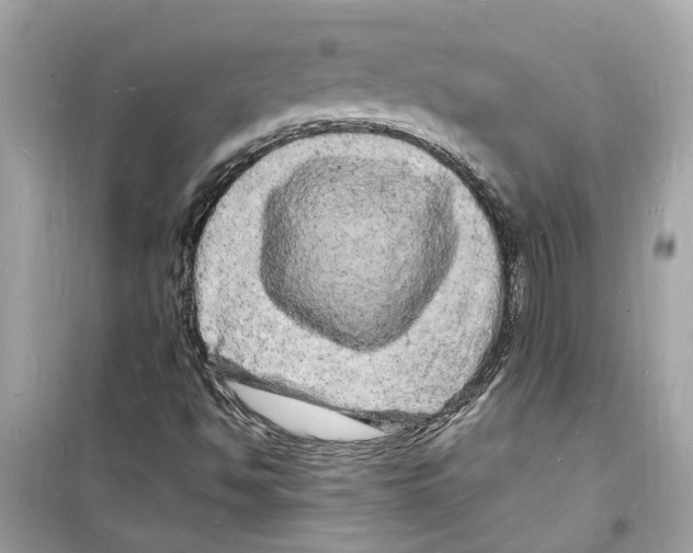 X0000098231494200805221659