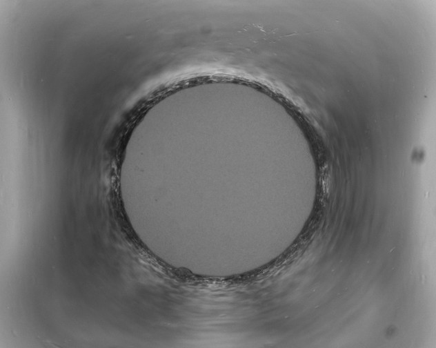 X0000098231495200805221659