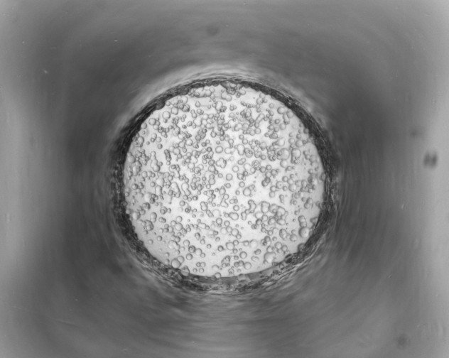 X0000098231496200805221659