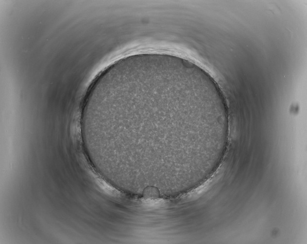 X0000098231498200805221659