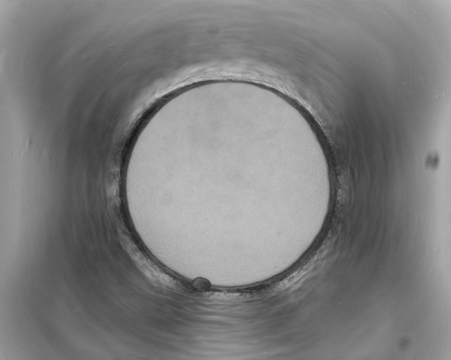 X0000098231499200805221659