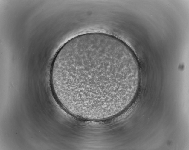 X0000098231500200805221659