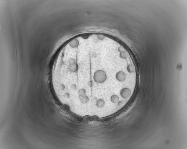 X0000098231501200805221659