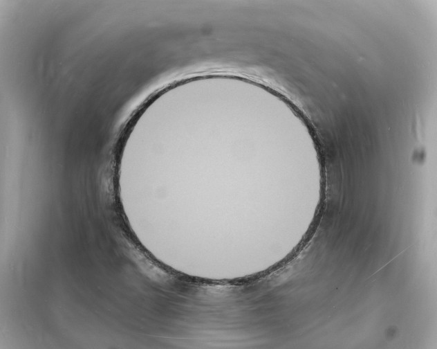 X0000098231502200805221659