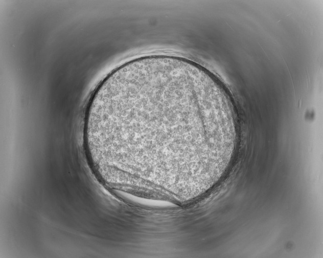 X0000098231504200805221659