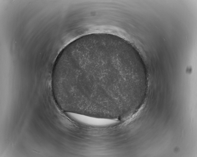 X0000098231505200805221659