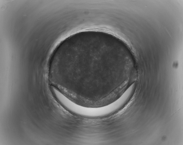 X0000098231506200805221659