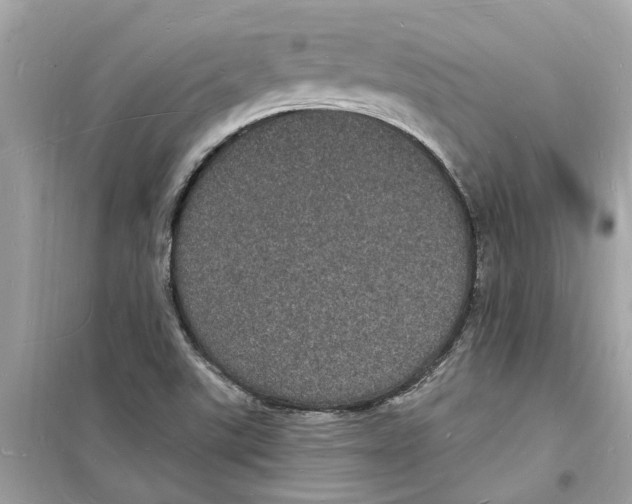 X0000098231507200805221659