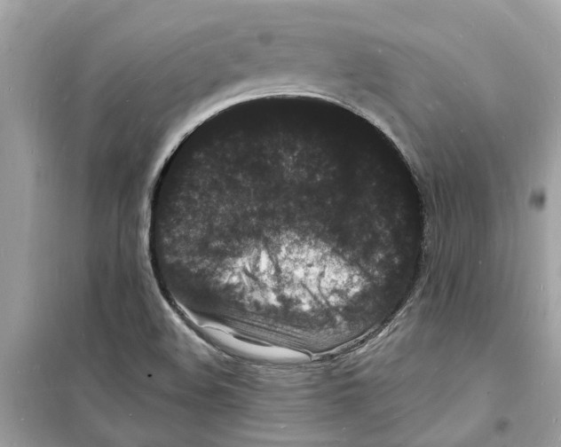 X0000098231508200805221659