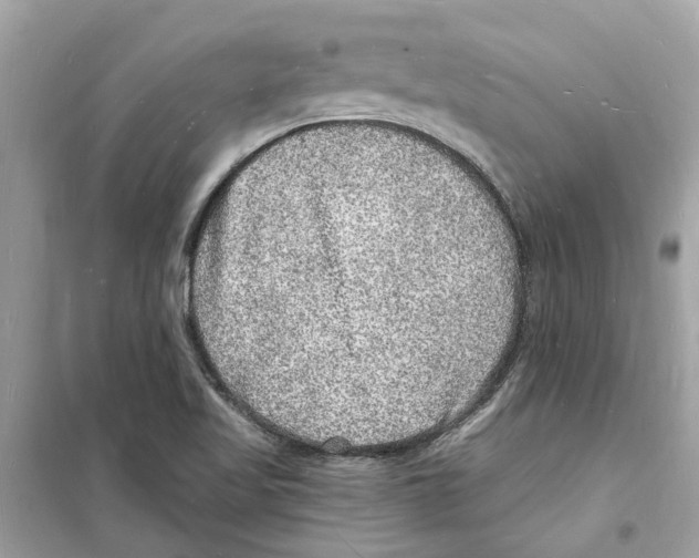 X0000098231509200805221659