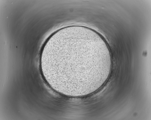 X0000098231511200805221659