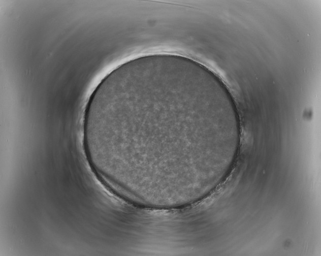 X0000098231512200805221659