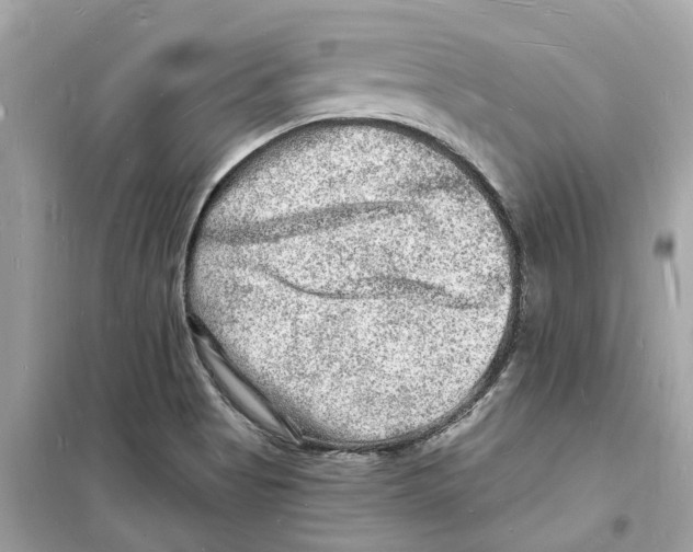 X0000098231513200805221659