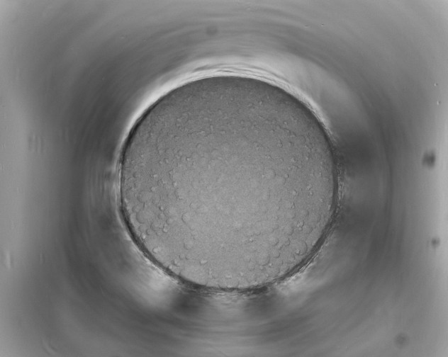 X0000098231514200805221659