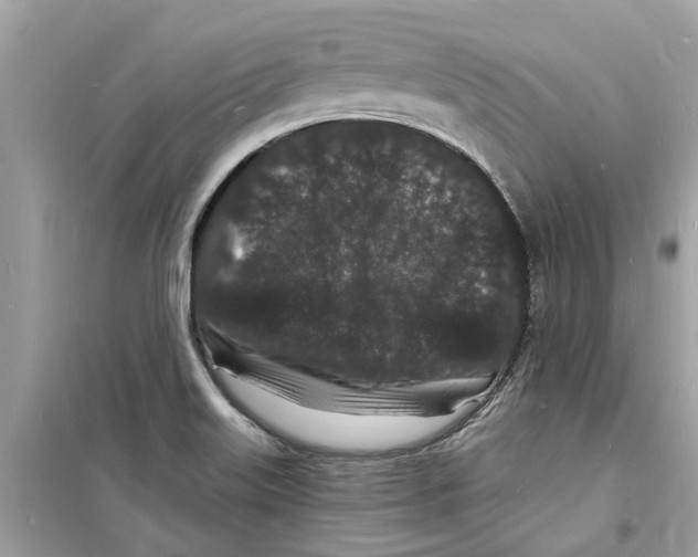 X0000098231515200805221659