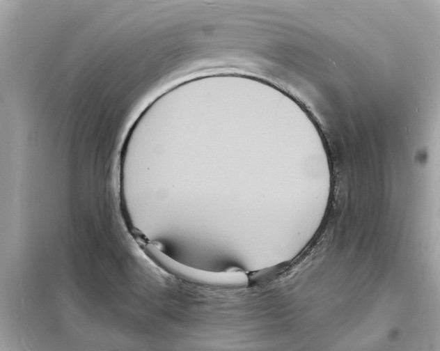 X0000098231516200805221659