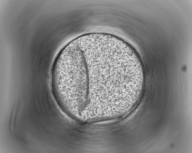 X0000098231517200805221659