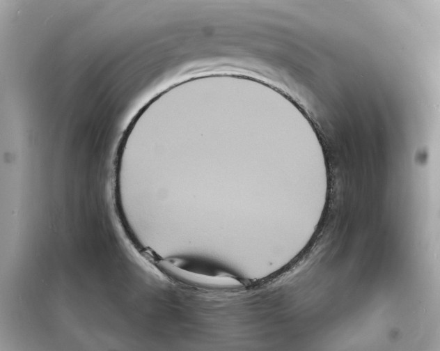 X0000098231518200805221659