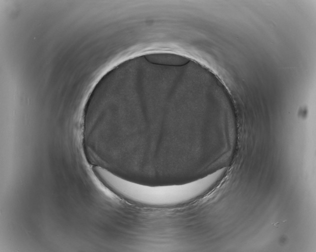 X0000098231519200805221659