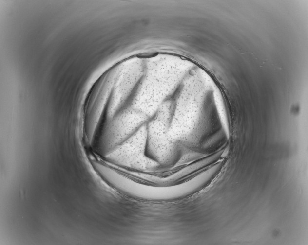 X0000098231520200805221659