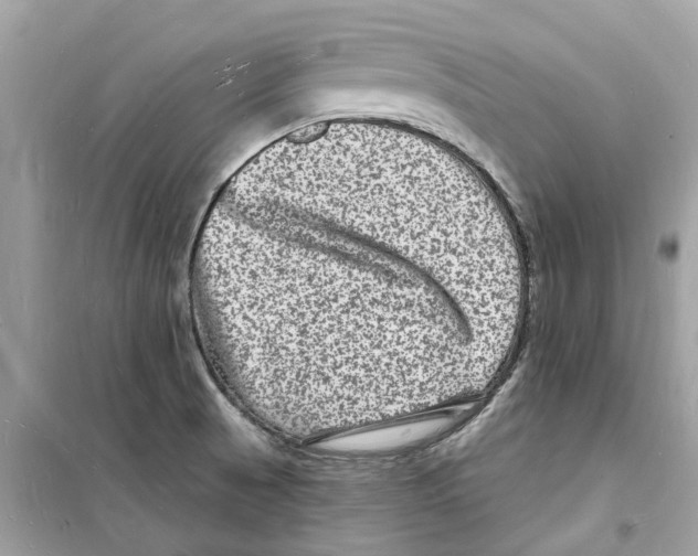 X0000098231521200805221659