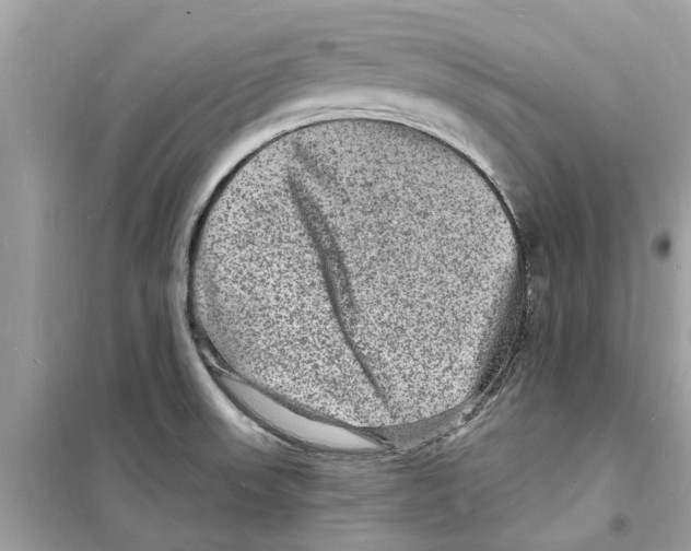 X0000098231523200805221659