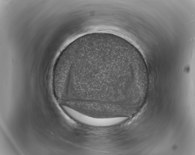 X0000098231525200805221659