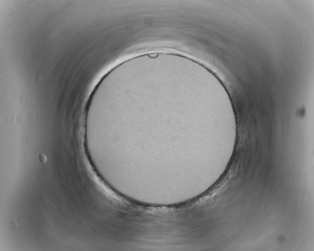 X0000098231526200805221659