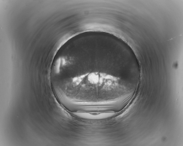 X0000098231529200805221659