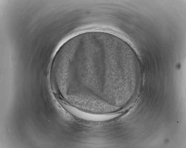 X0000098231530200805221659