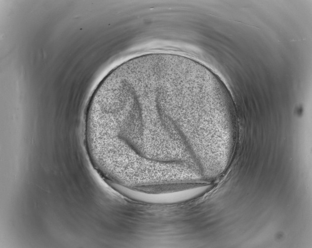 X0000098231531200805221659