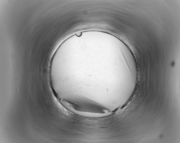 X0000098231532200805221700