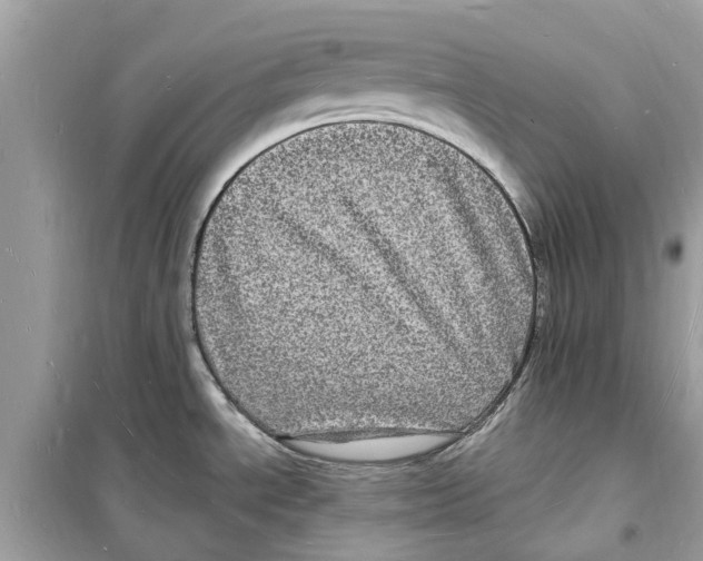 X0000098231534200805221700