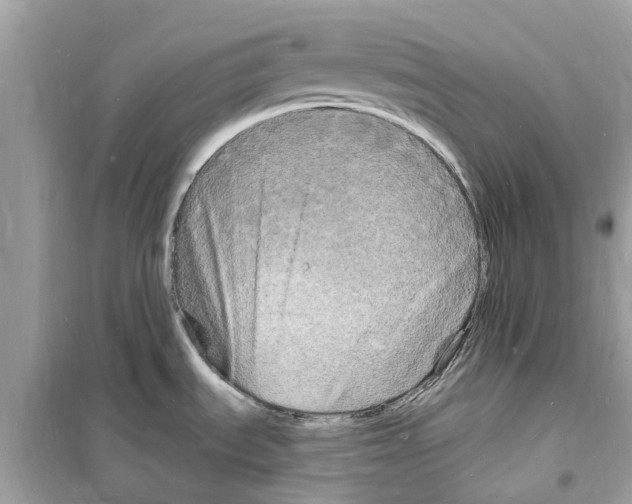 X0000098231535200805221700