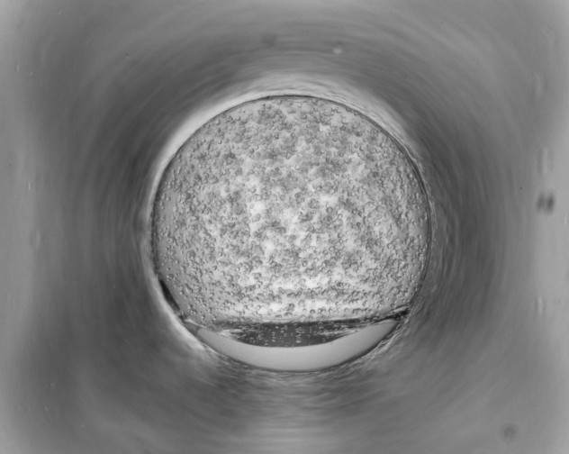 X0000098231536200805221700