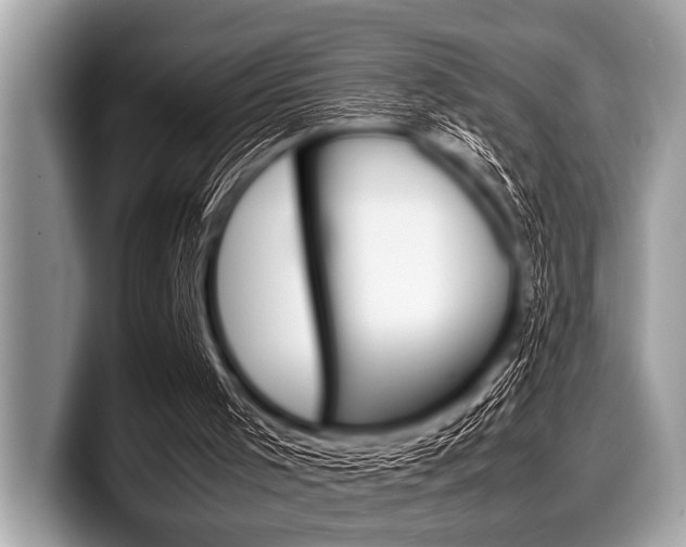 X0000099230001200804241239