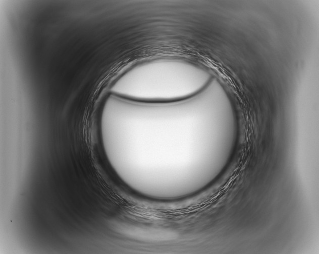 X0000099230002200804241239