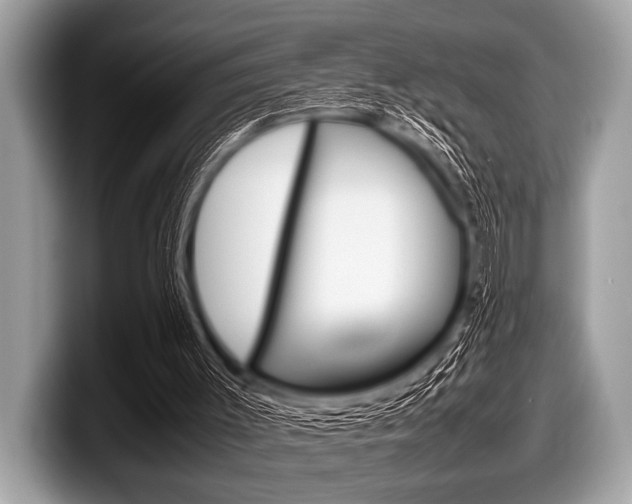 X0000099230003200804241239