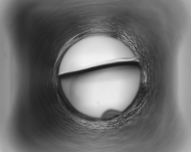 X0000099230004200804241239