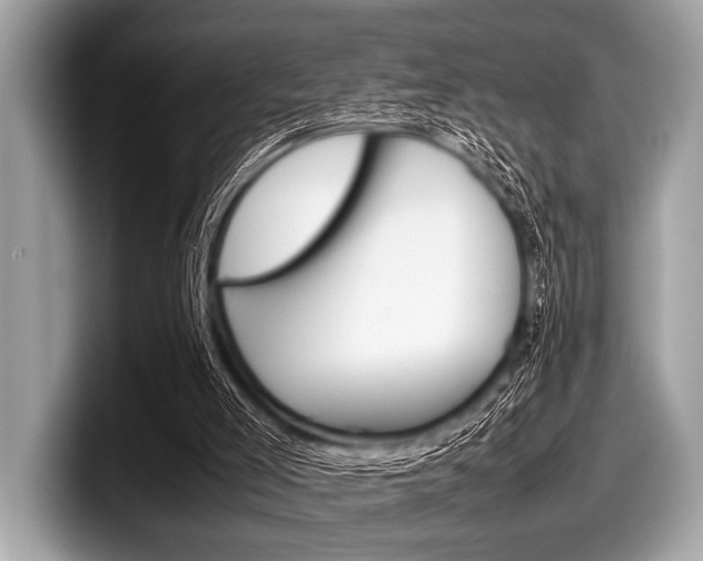 X0000099230005200804241239