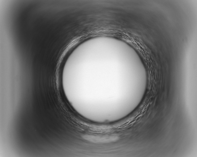 X0000099230006200804241239